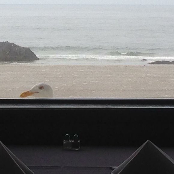 Meet your Posher, Barb - Picture 1 of 1